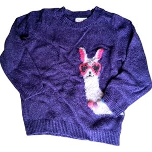 Cat & Jack Knit Sweater